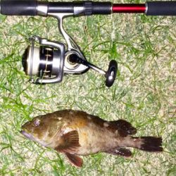 カサゴング1800〜1925