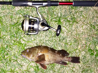 カサゴング1800〜1925