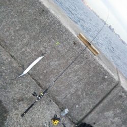 活性はそこそこ