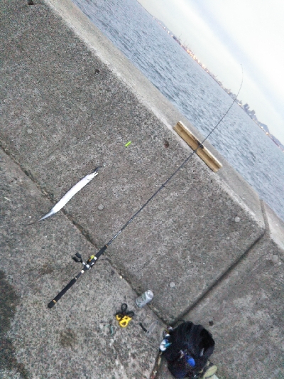 活性はそこそこ