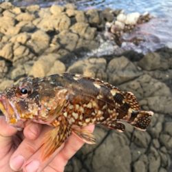 お試しテキサスリグ