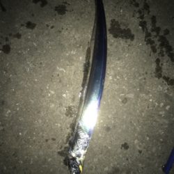 アジのちタチウオ