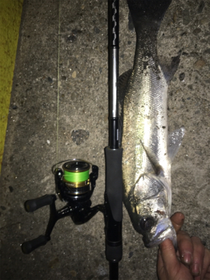 なんとかゲット！