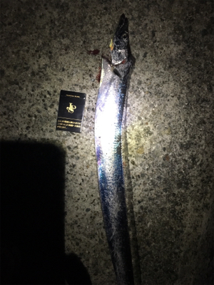 相変わらず渋い