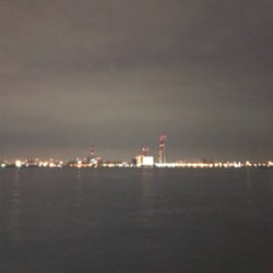 うん？てっちりふぐ夫⁈