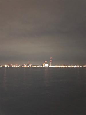 うん？てっちりふぐ夫⁈