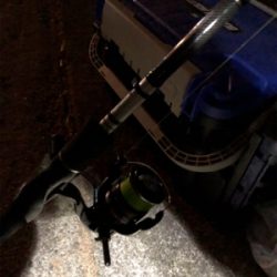 つらぬきプラス1本ばりS