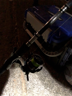 つらぬきプラス1本ばりS