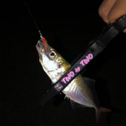 芦屋浜ライトゲーム