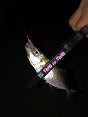 芦屋浜ライトゲーム