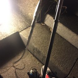 ウキ釣り初タチウオ!