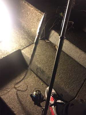 ウキ釣り初タチウオ!