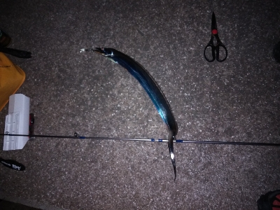 今日は引き釣りテンヤのみ