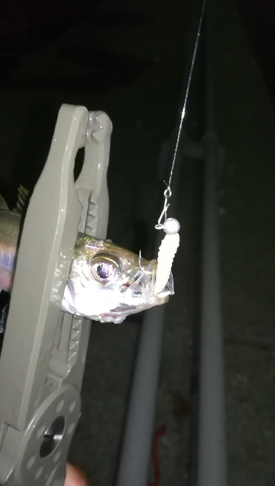 ナイトアジング