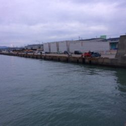 マリンピア沖洲でタチウオテンヤ