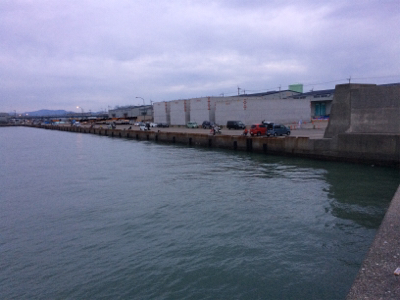 マリンピア沖洲でタチウオテンヤ