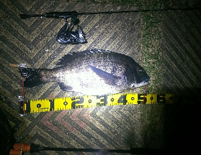 ジグ単のアジング