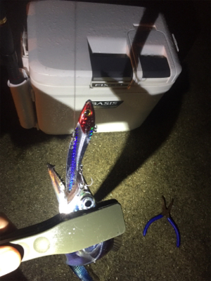 タチウオのハイシーズン到来！