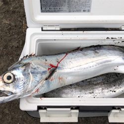 極大ドラゴン、神戸港登場!!!