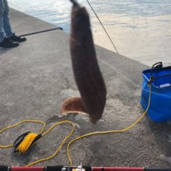 穴釣りのんびり