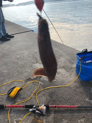 穴釣りのんびり