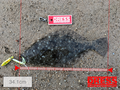 沙弥島北側サーフにてヒラメ