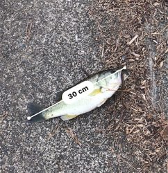 肌寒くなってきました