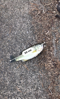 肌寒くなってきました