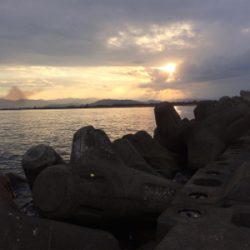 月見ヶ丘でアイナメ