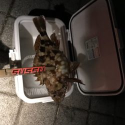 灘浜でライトゲーム