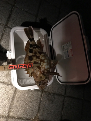 灘浜でライトゲーム