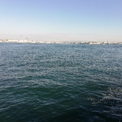 南港タコ釣り。