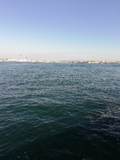 南港タコ釣り。