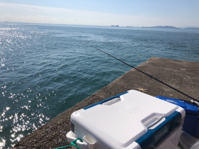 姫路青物また続いてます！