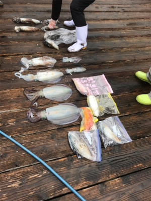 いとこの旦那さん達とティップラン遠征