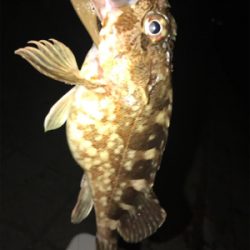 灘浜ライトゲーム