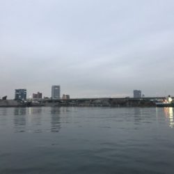 泉大津のタチウオはそろそろ