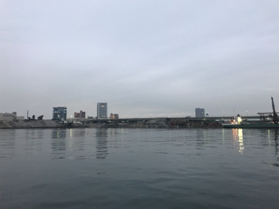 泉大津のタチウオはそろそろ