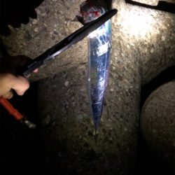 久々のタッチー調査