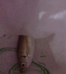 100均ワーム釣行Part2