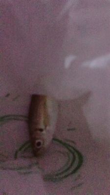 100均ワーム釣行Part2