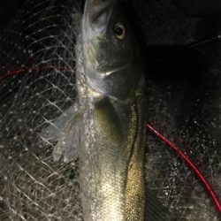 ナイトからのデイ