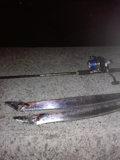 満月　大潮はいまいちか