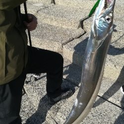 ダイソージグで！