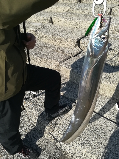 ダイソージグで！