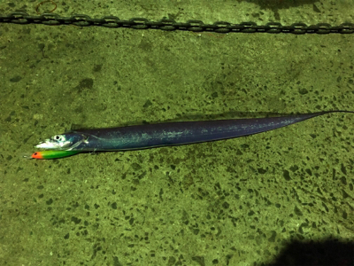 ちょっと大きく