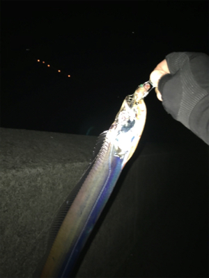 安定のタッチポン 陸