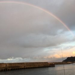 アジング狙いが根魚オンリー(^^)