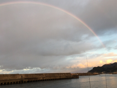 アジング狙いが根魚オンリー(^^)
