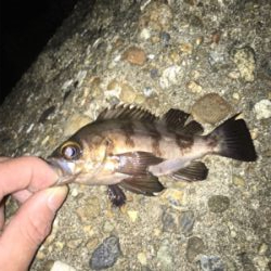 なかなか難しい